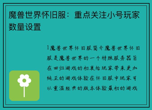 魔兽世界怀旧服：重点关注小号玩家数量设置